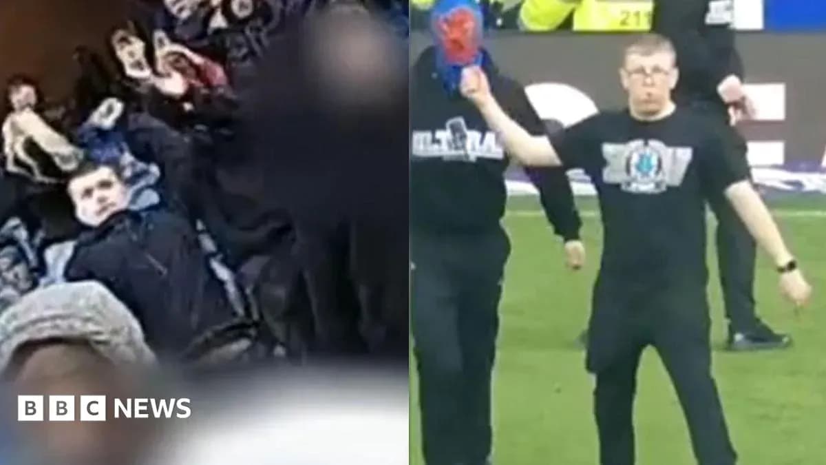 Crowd reacting and individual on pitch during event