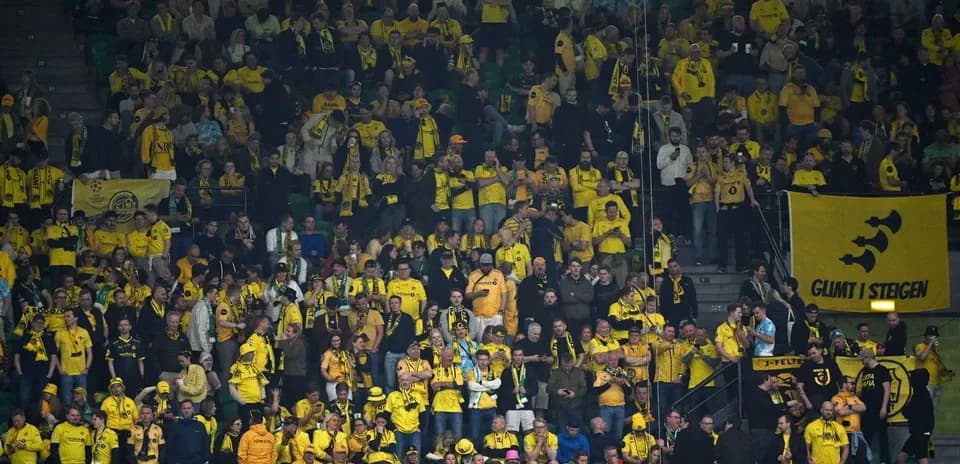 Bodo/Glimt fans supporting their team in yellow