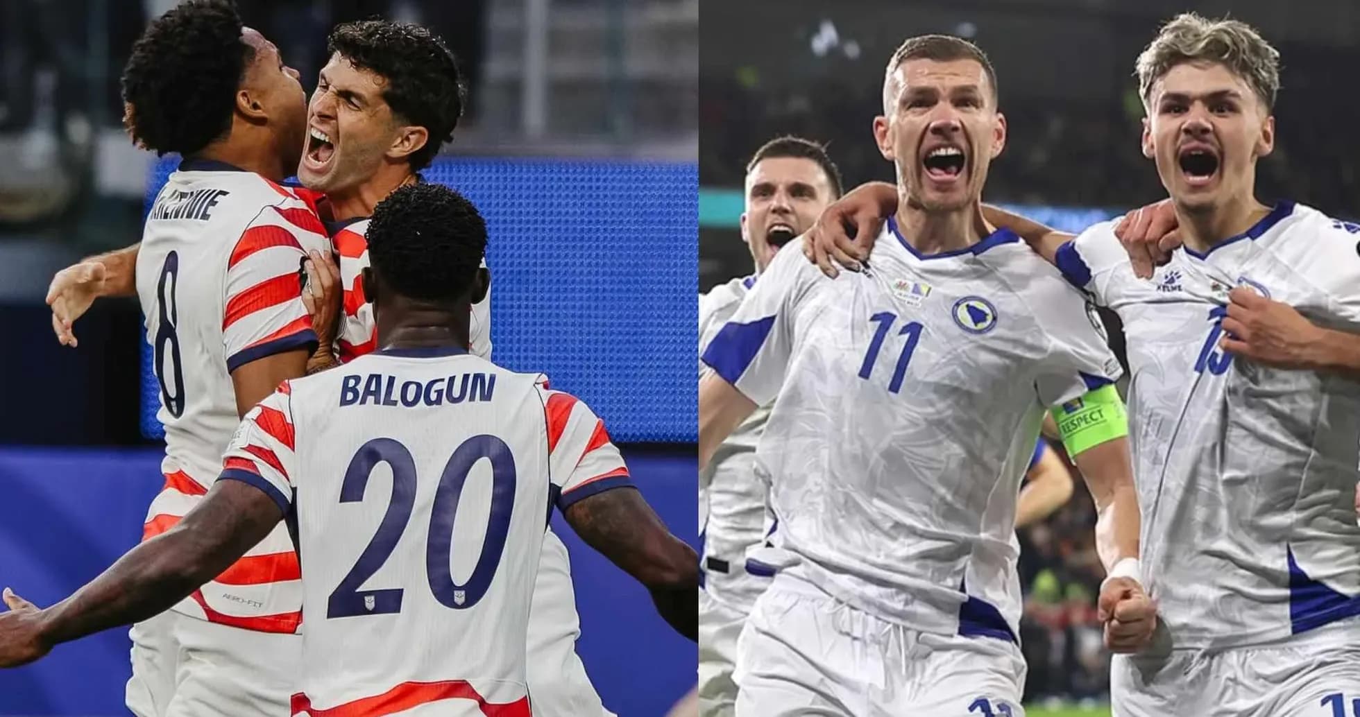 Players celebrating during USA vs Bosnia match