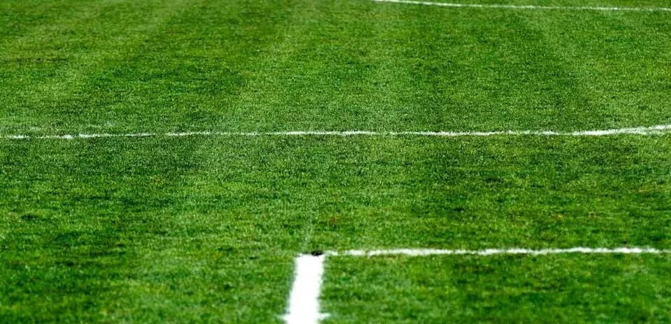 Close-up of freshly marked football field grass