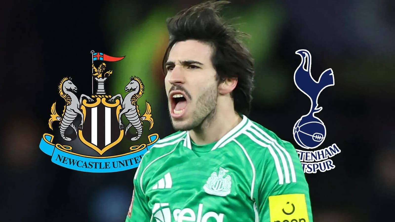 Goalkeeper celebrating during match between Newcastle and Tottenham