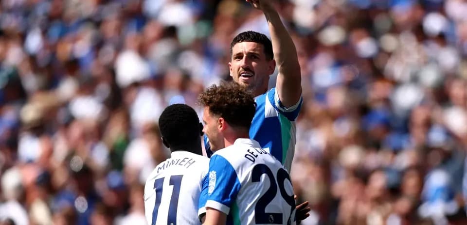 Brighton players celebrating during match against Wolves
