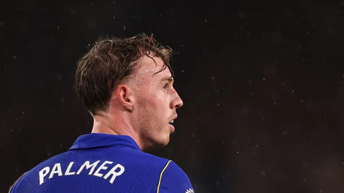 Player wearing blue jersey with 'PALMER' on back