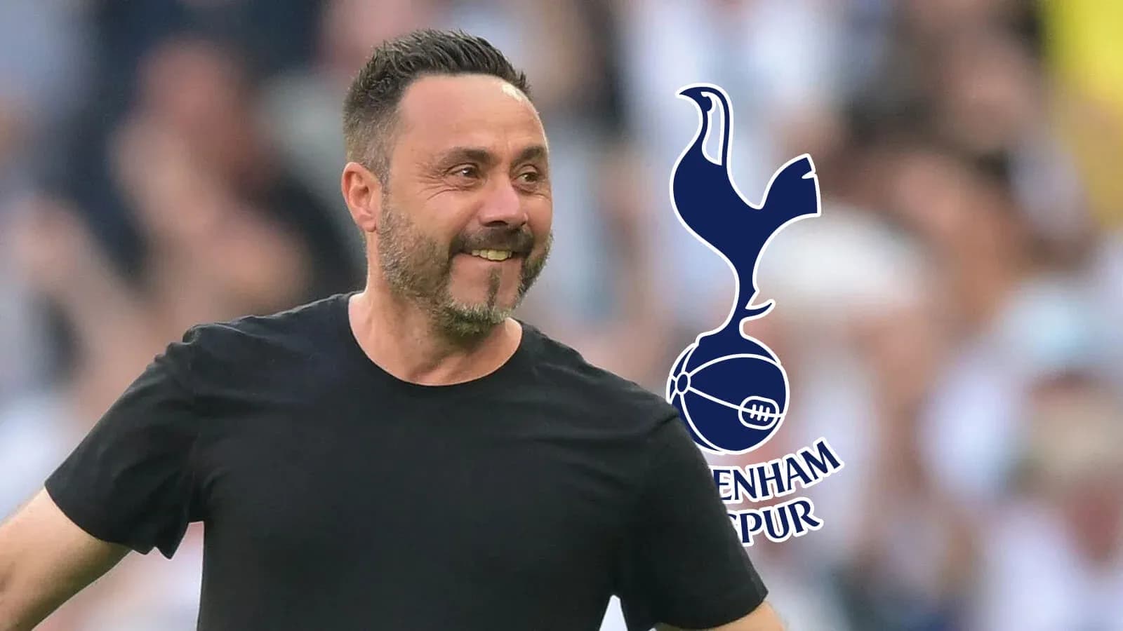 Manager celebrating during a Tottenham Hotspur match Manager celebrating during a Tottenham Hotspur match