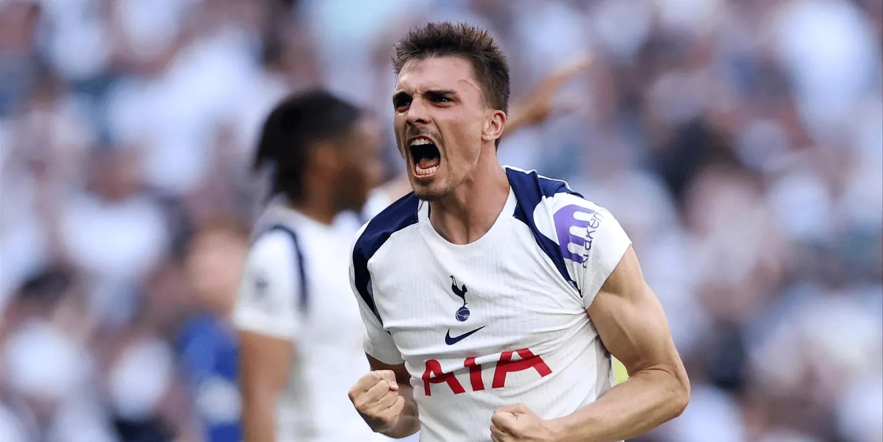 Player celebrating during Tottenham vs Everton match Player celebrating during Tottenham vs Everton match