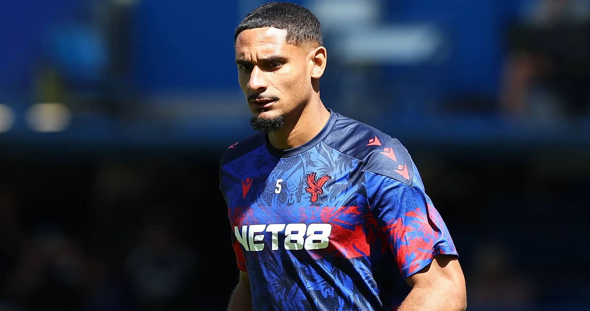 Player wearing Crystal Palace training kit on pitch Player wearing Crystal Palace training kit on pitch