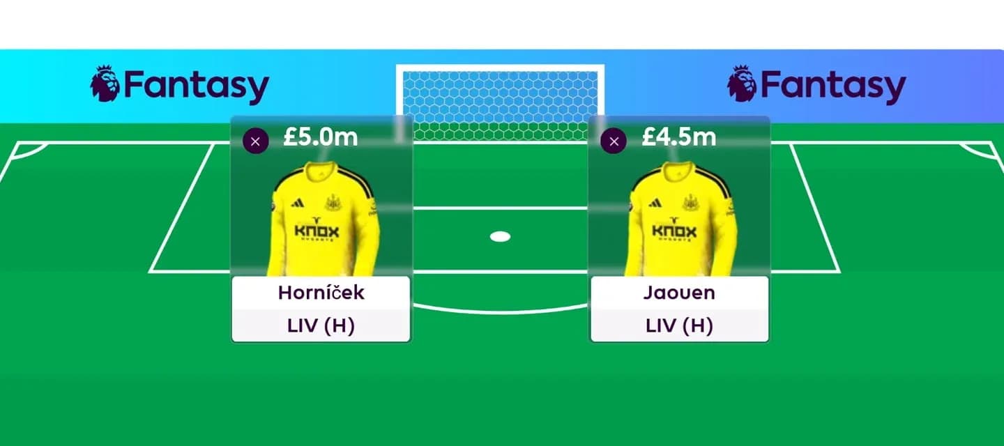 Fantasy football player selection screen with goalkeepers Fantasy football player selection screen with goalkeepers