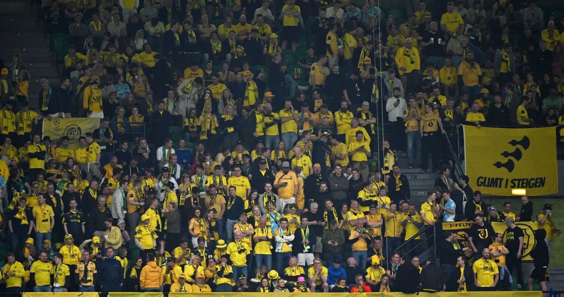 Bodo/Glimt fans supporting their team in yellow Bodo/Glimt fans supporting their team in yellow