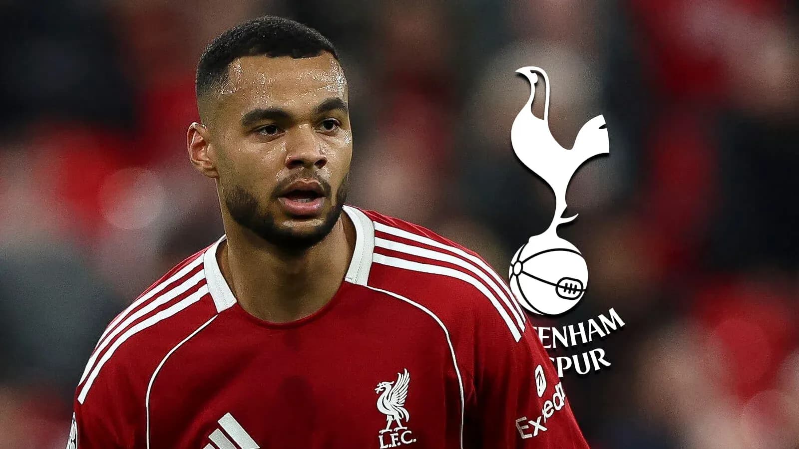 Player in Liverpool kit during match action Player in Liverpool kit during match action
