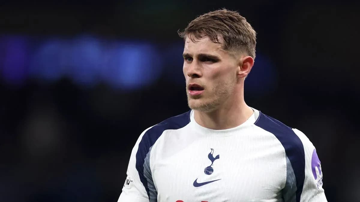 Player in Tottenham kit during match Player in Tottenham kit during match