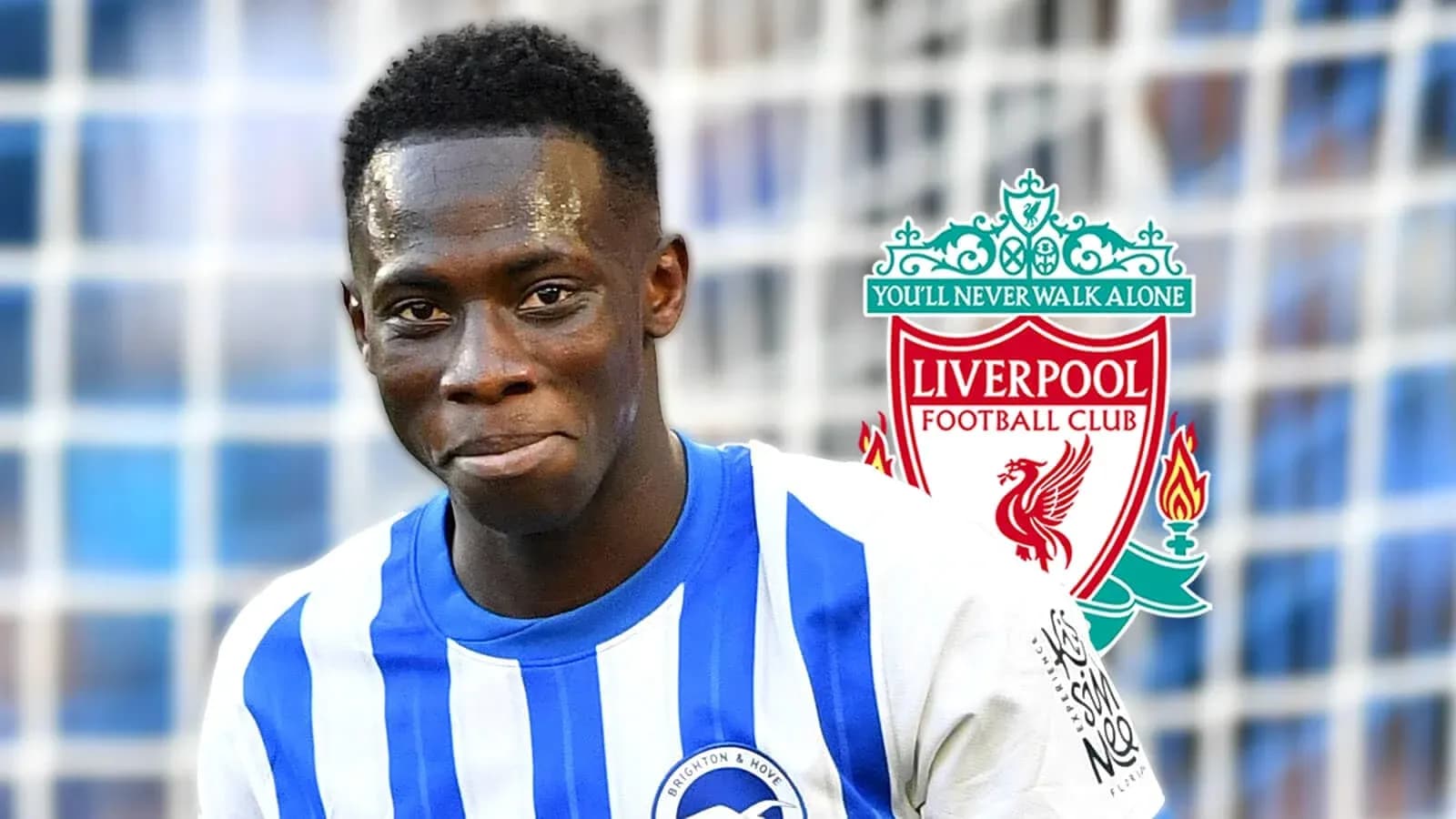 Player in Brighton kit with Liverpool logo background Player in Brighton kit with Liverpool logo background