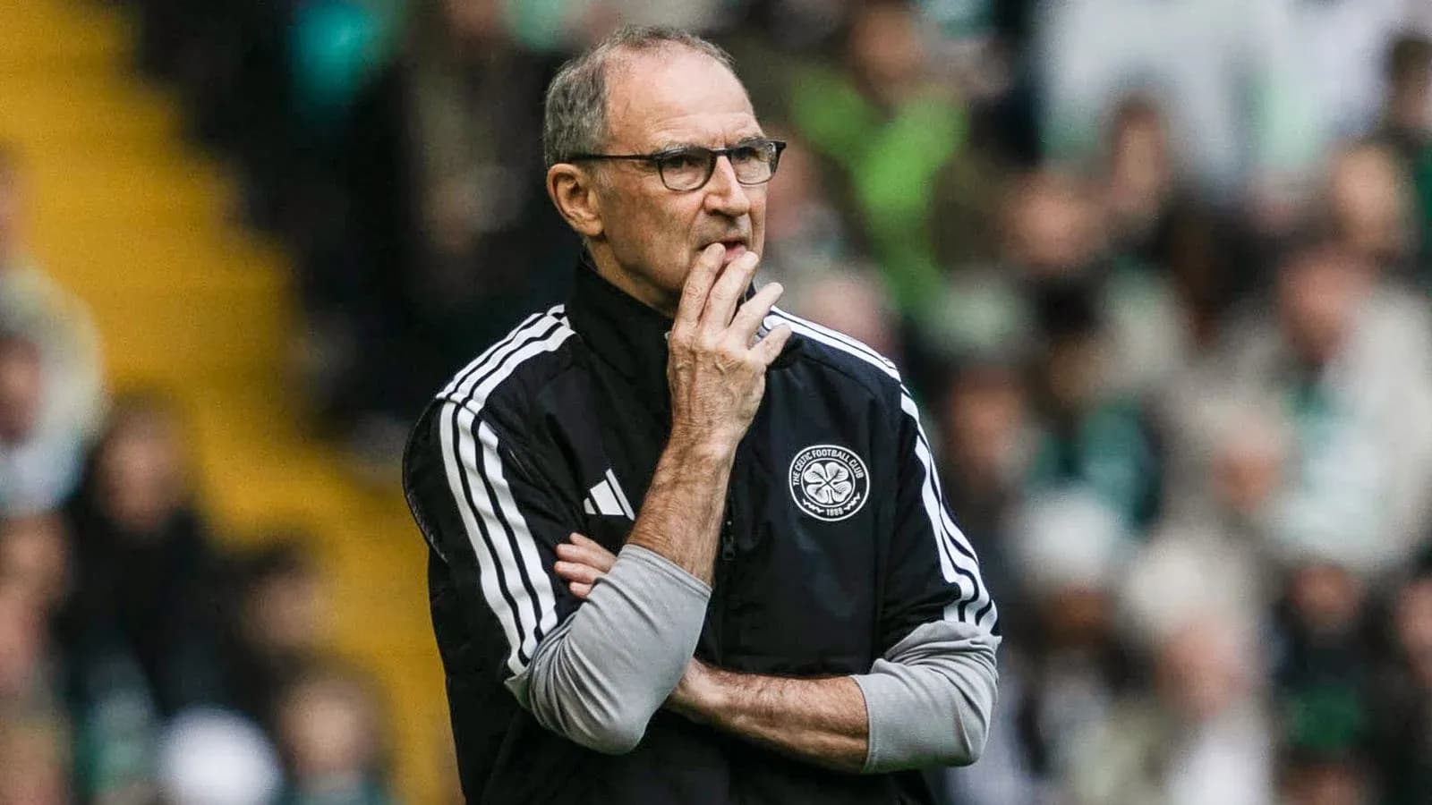 Manager observing the match from the sideline Manager observing the match from the sideline