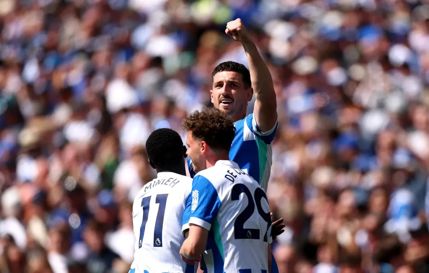 Brighton players celebrating during match against Wolves Brighton players celebrating during match against Wolves