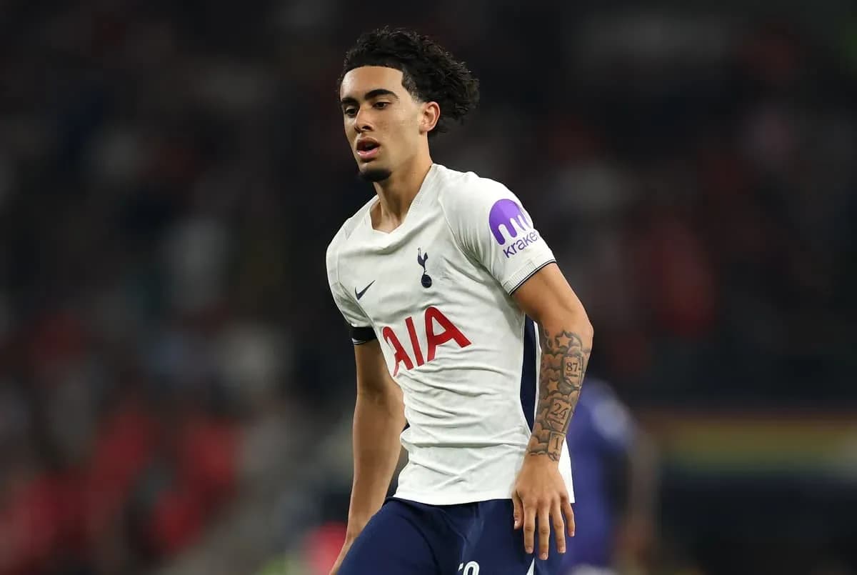 Player in Tottenham kit during match action Player in Tottenham kit during match action