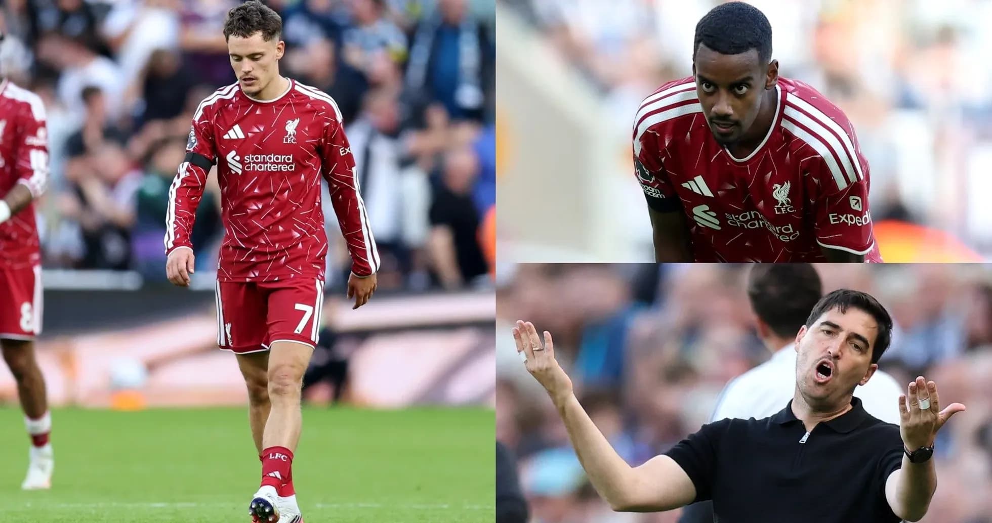 Liverpool players and manager during a match Liverpool players and manager during a match