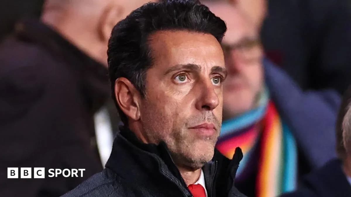 Person watching a match in the stands Person watching a match in the stands