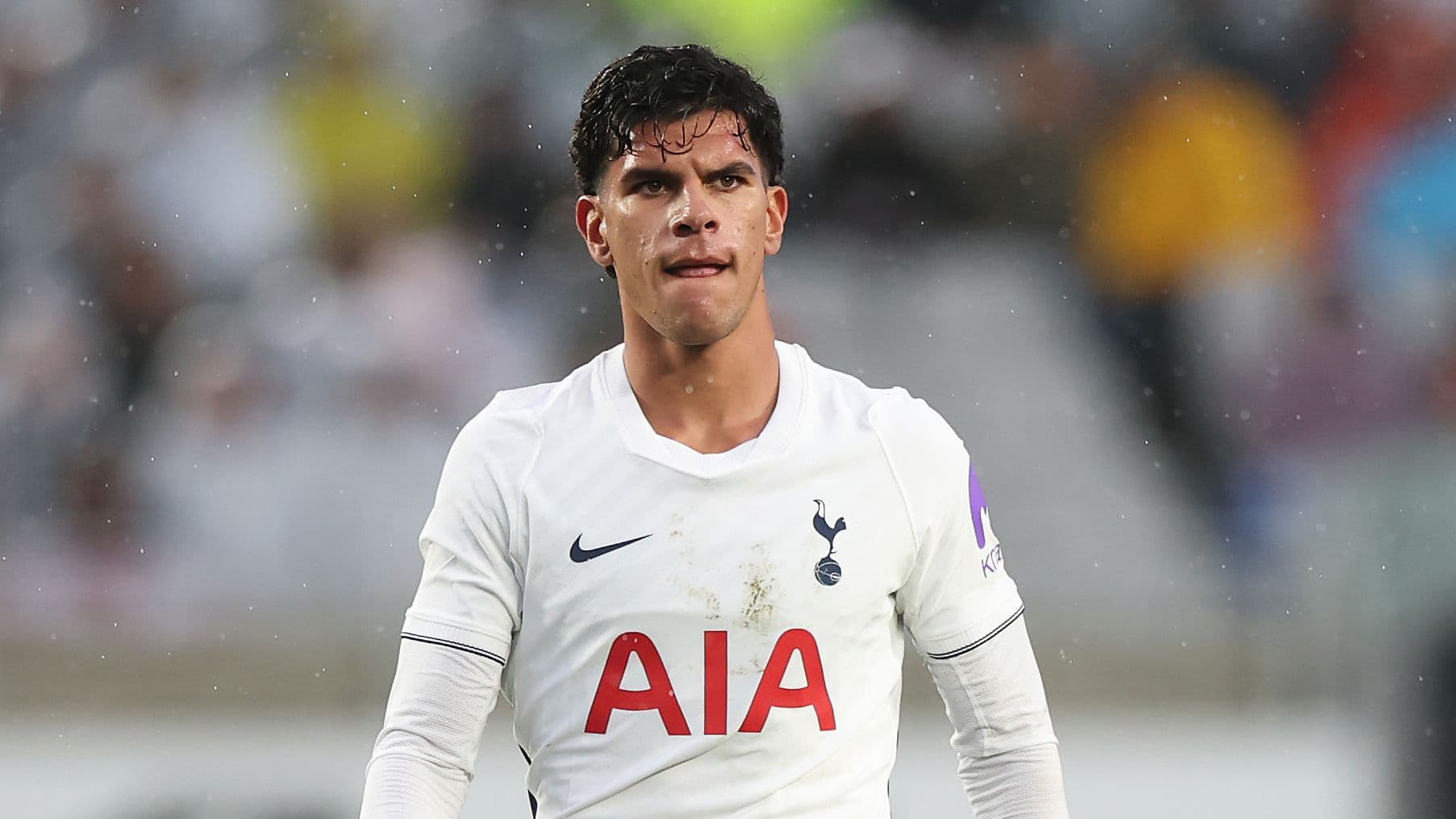Why £85m Mateus Fernandes Sat Out Tottenham's Match Against Sydney FC Amid Injury Speculation Why £85m Mateus Fernandes Sat Out Tottenham's Match Against Sydney FC Amid Injury Speculation
