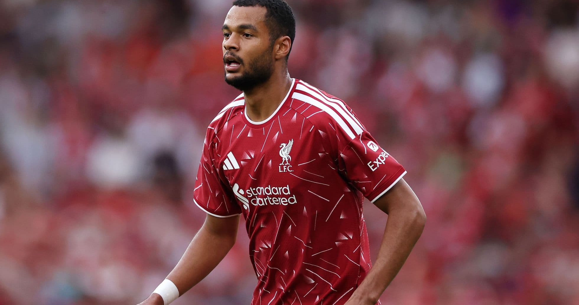 Iraola Hints at Gakpo Exit as Liverpool Near Deal for Barcola Iraola Hints at Gakpo Exit as Liverpool Near Deal for Barcola
